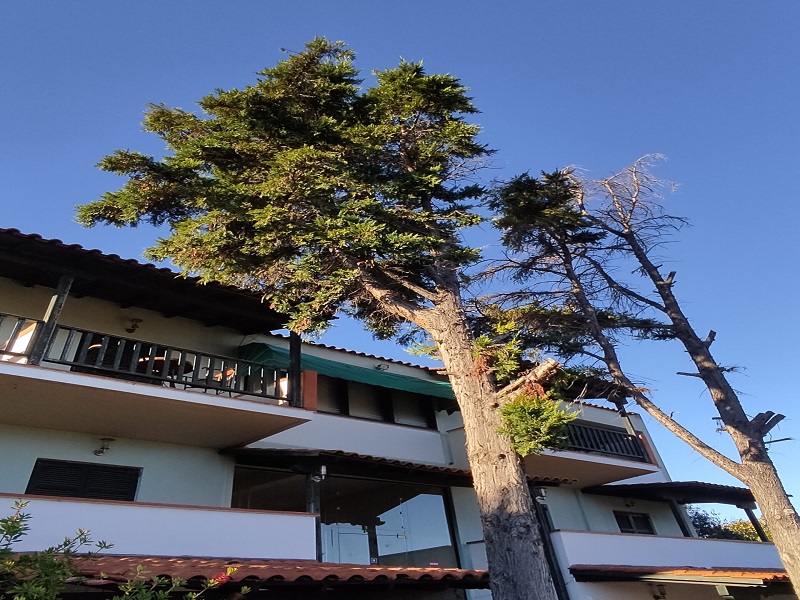 Aparthotel Eden thumbnail 10