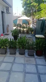 Apartmani i studio Dalibenjo - 4