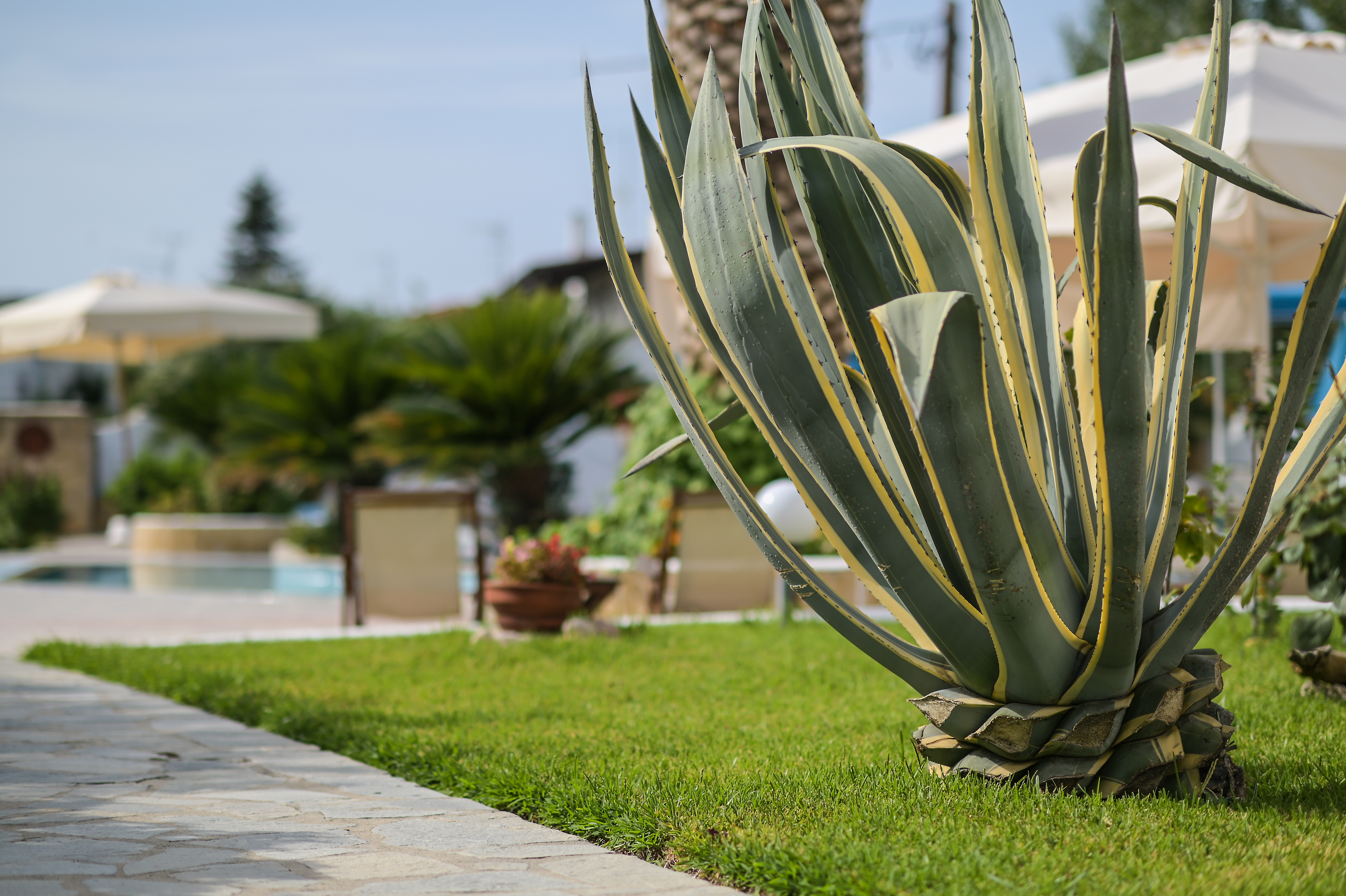 Estia Studios thumbnail 42