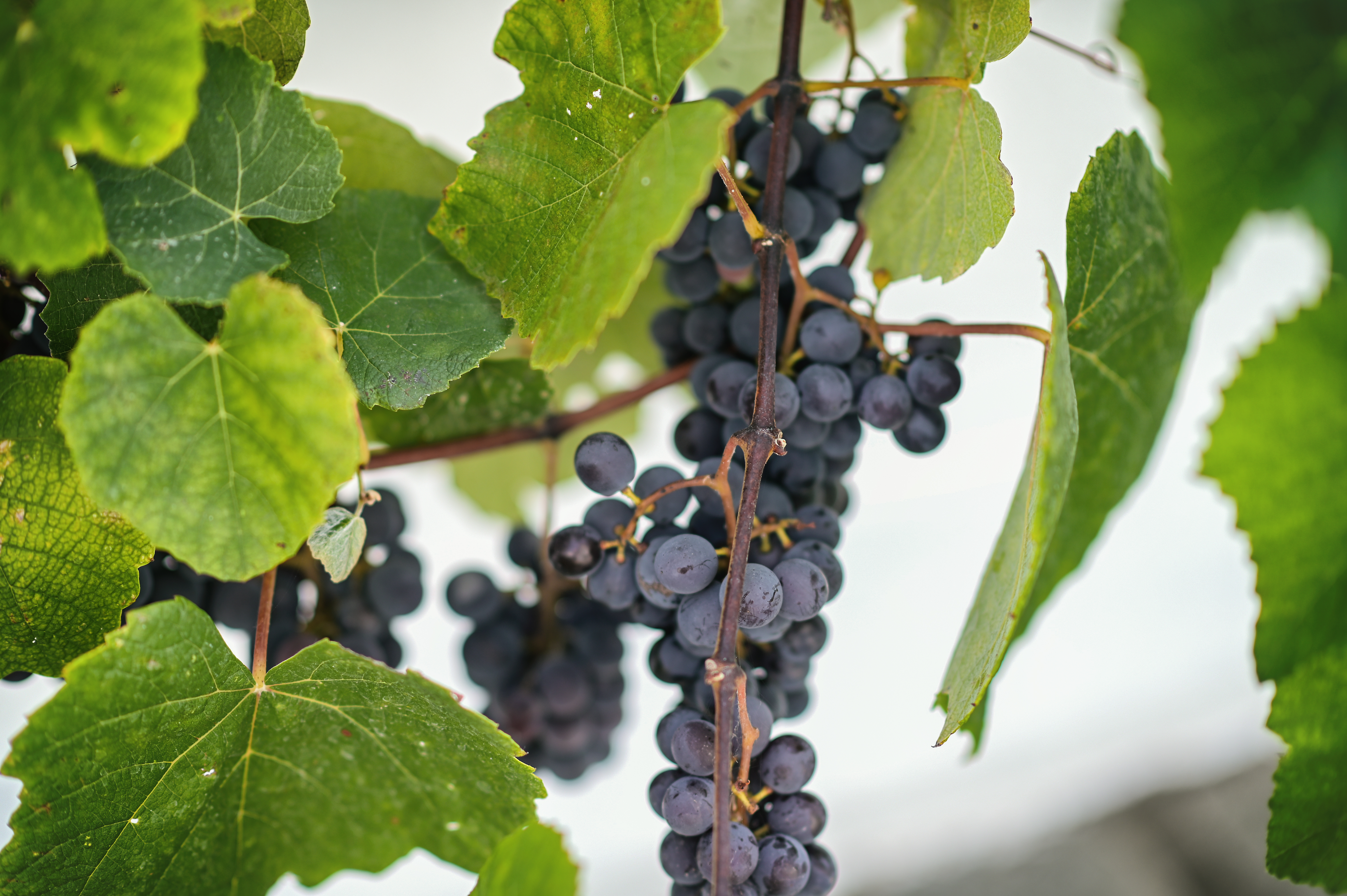 Estia Studios thumbnail 43