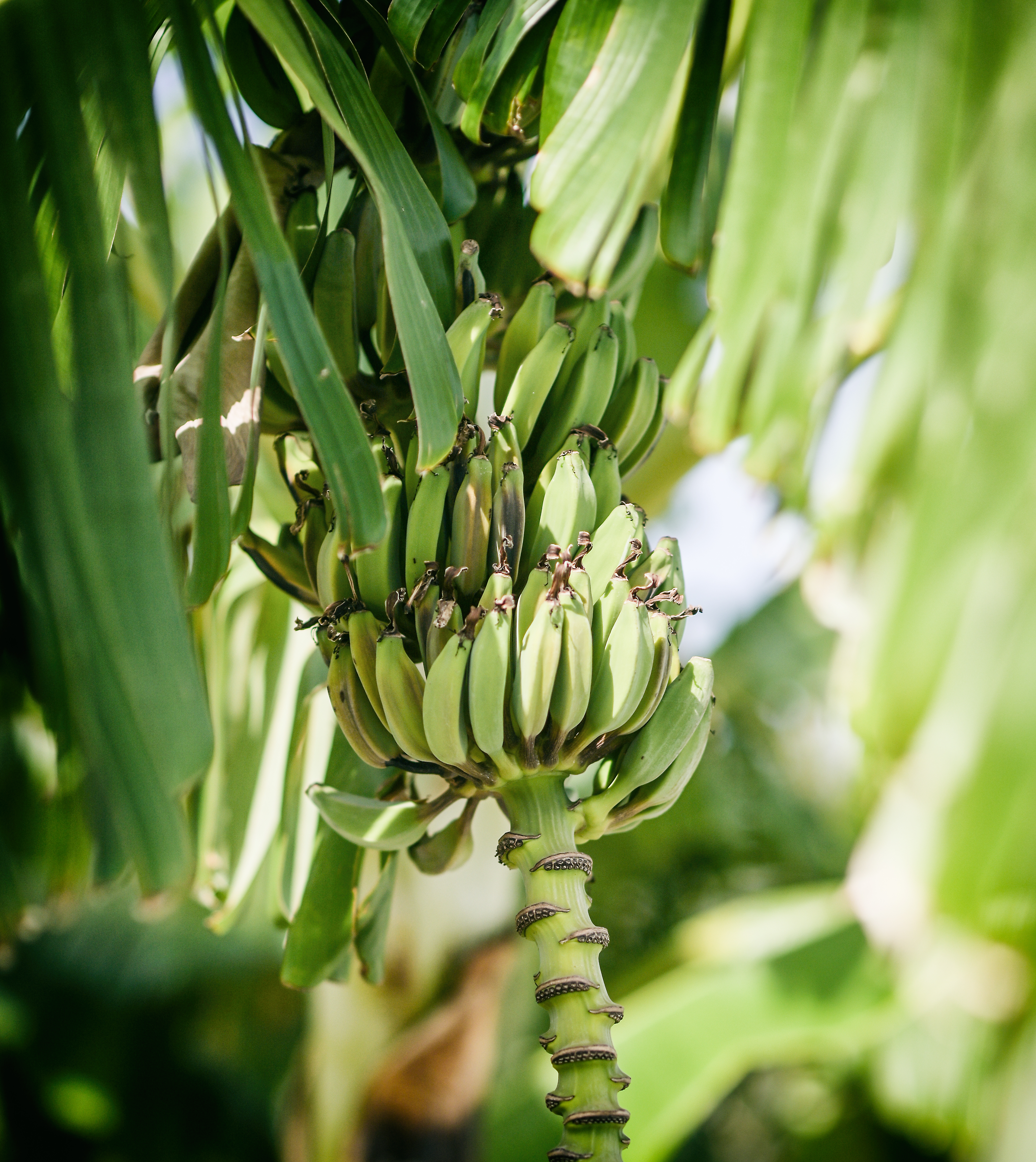 Estia Studios thumbnail 58