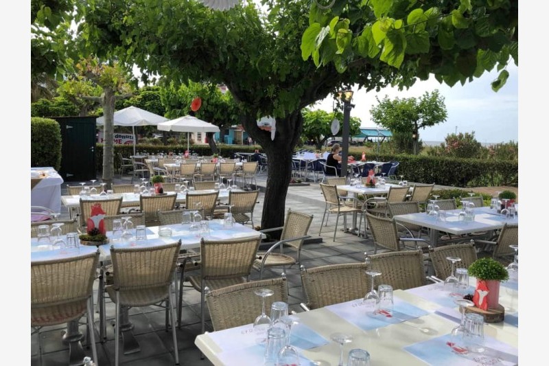 Hotel Olympic Beach 3* thumbnail 20