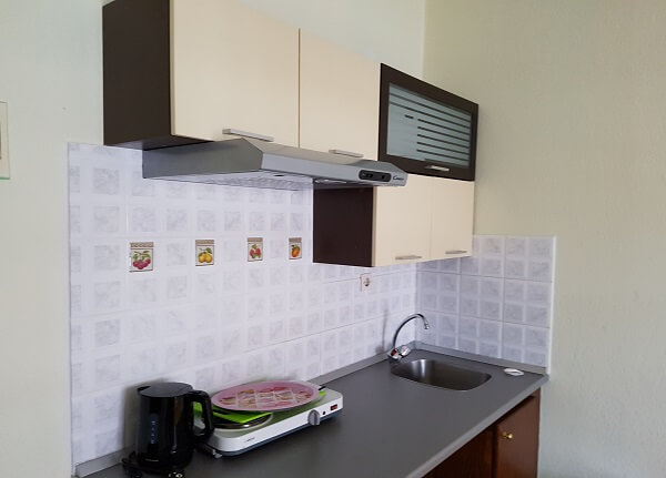 Janis 2 thumbnail 10