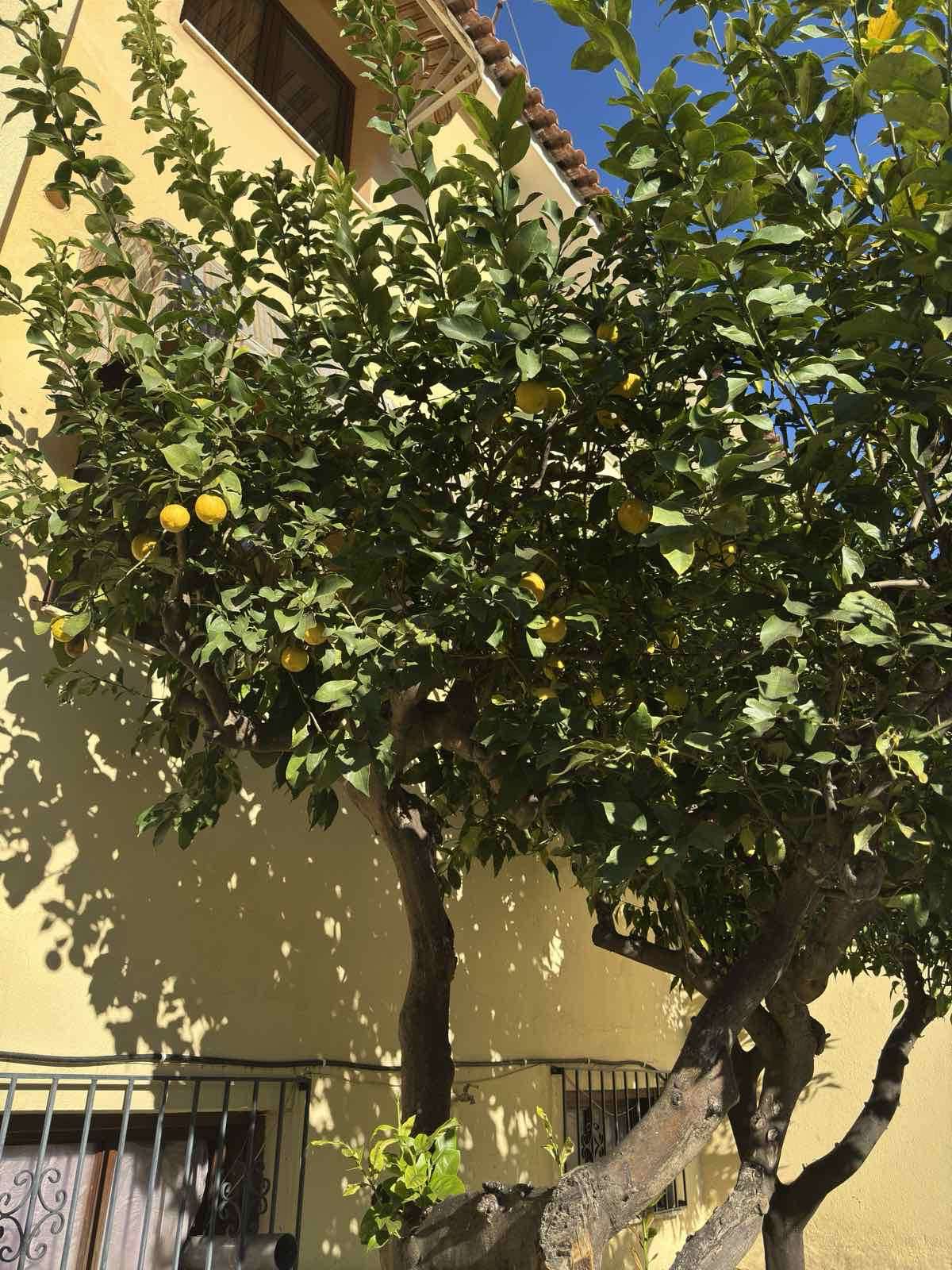 Vila App POSEDONIO thumbnail 19