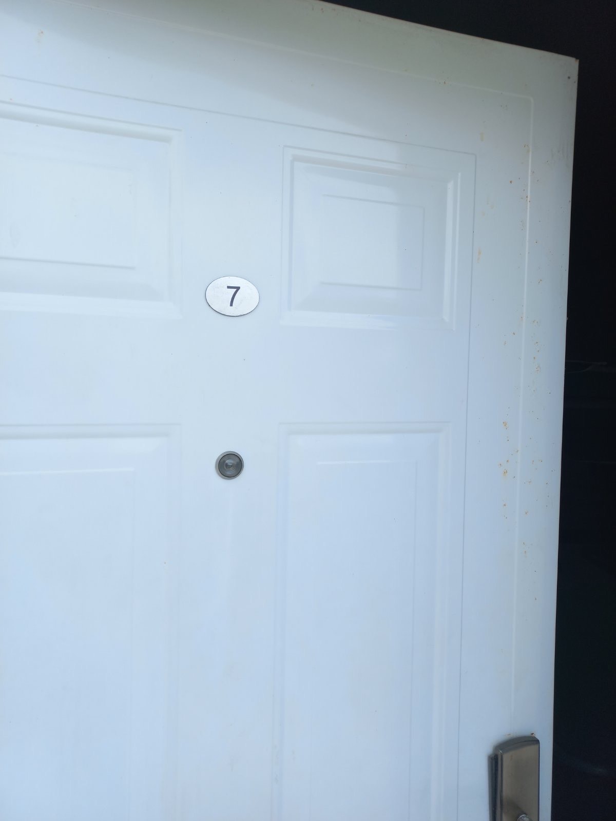 STUDIJI BOROVI thumbnail 13