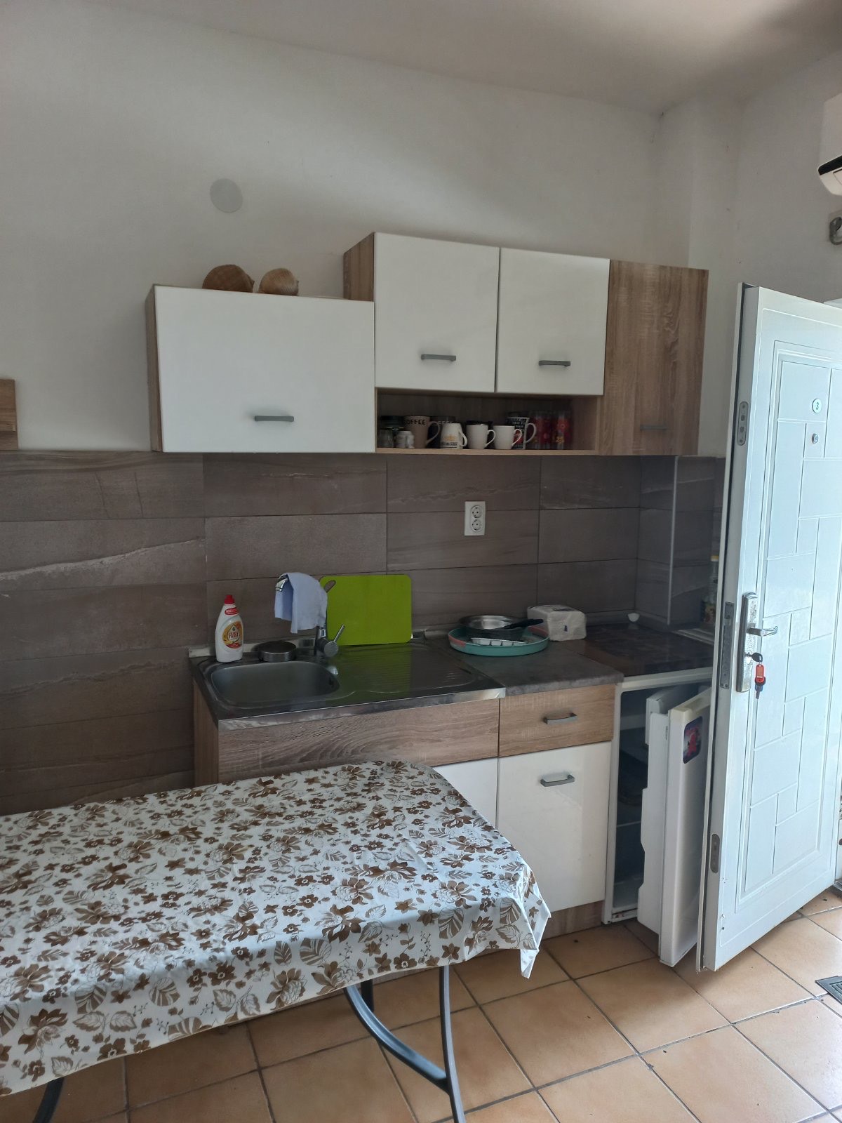 STUDIJI BOROVI thumbnail 15