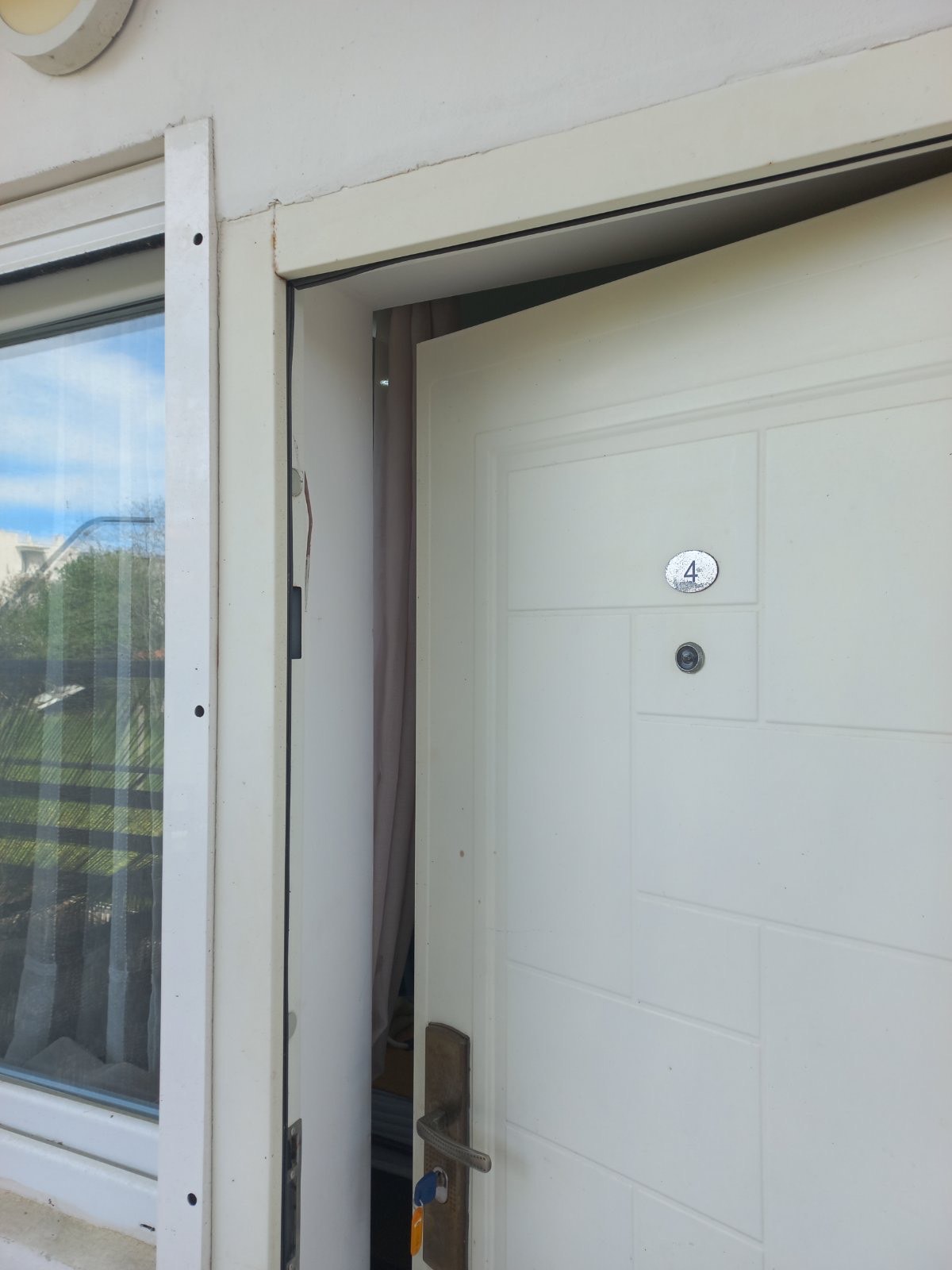 STUDIJI BOROVI thumbnail 16