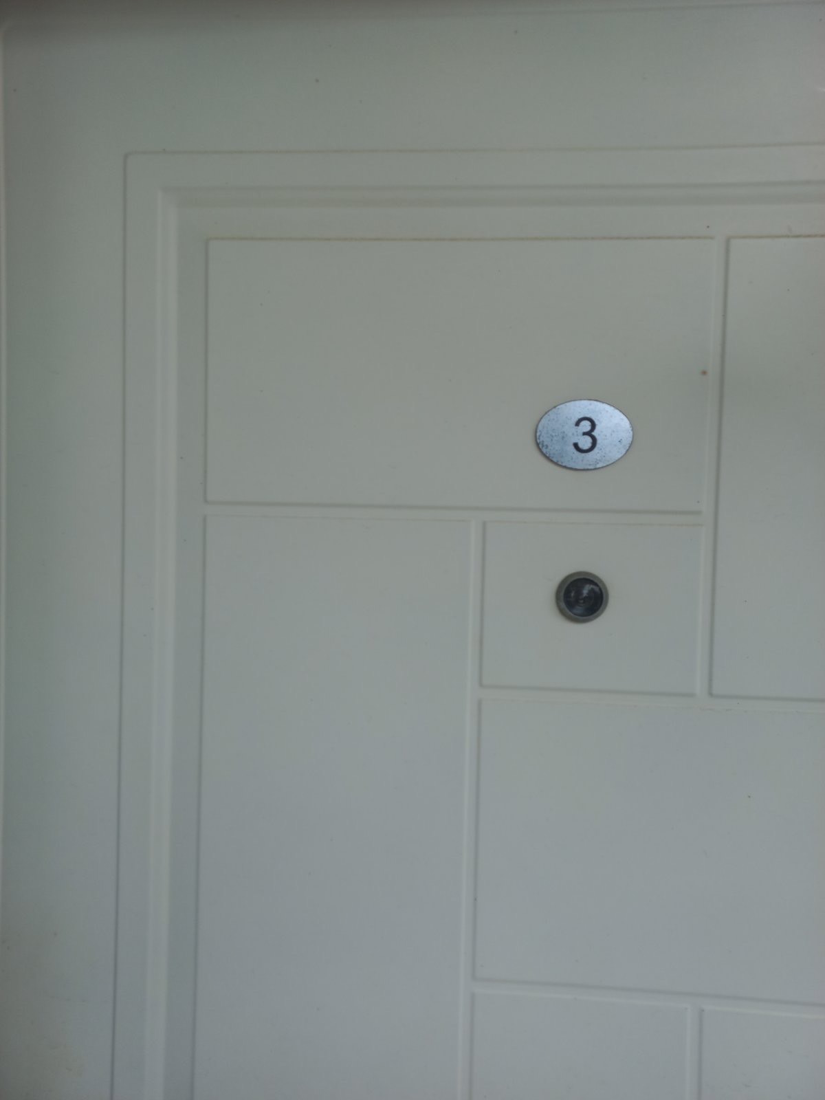 STUDIJI BOROVI thumbnail 18