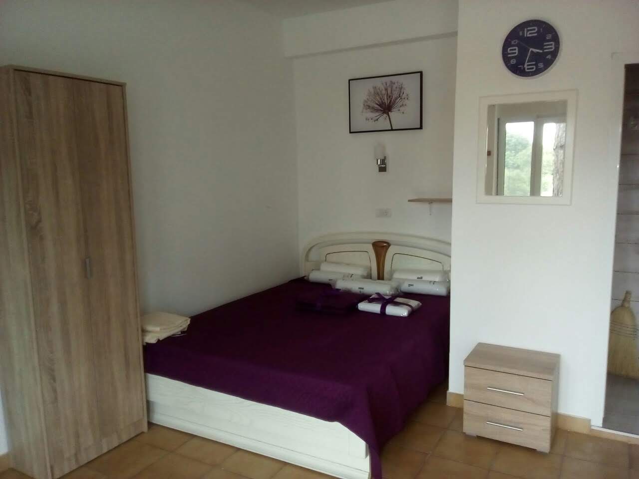 STUDIJI BOROVI thumbnail 2