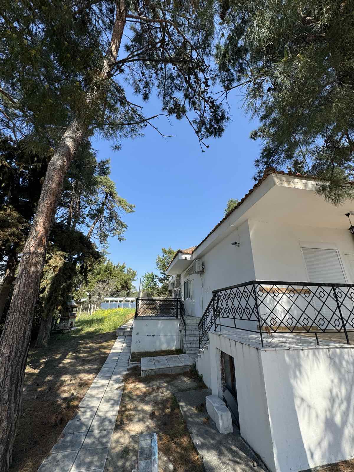 STUDIJI BOROVI thumbnail 22