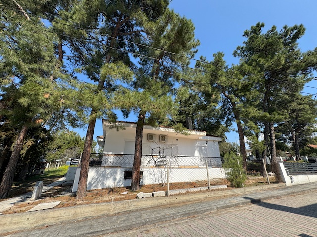 STUDIJI BOROVI thumbnail 23