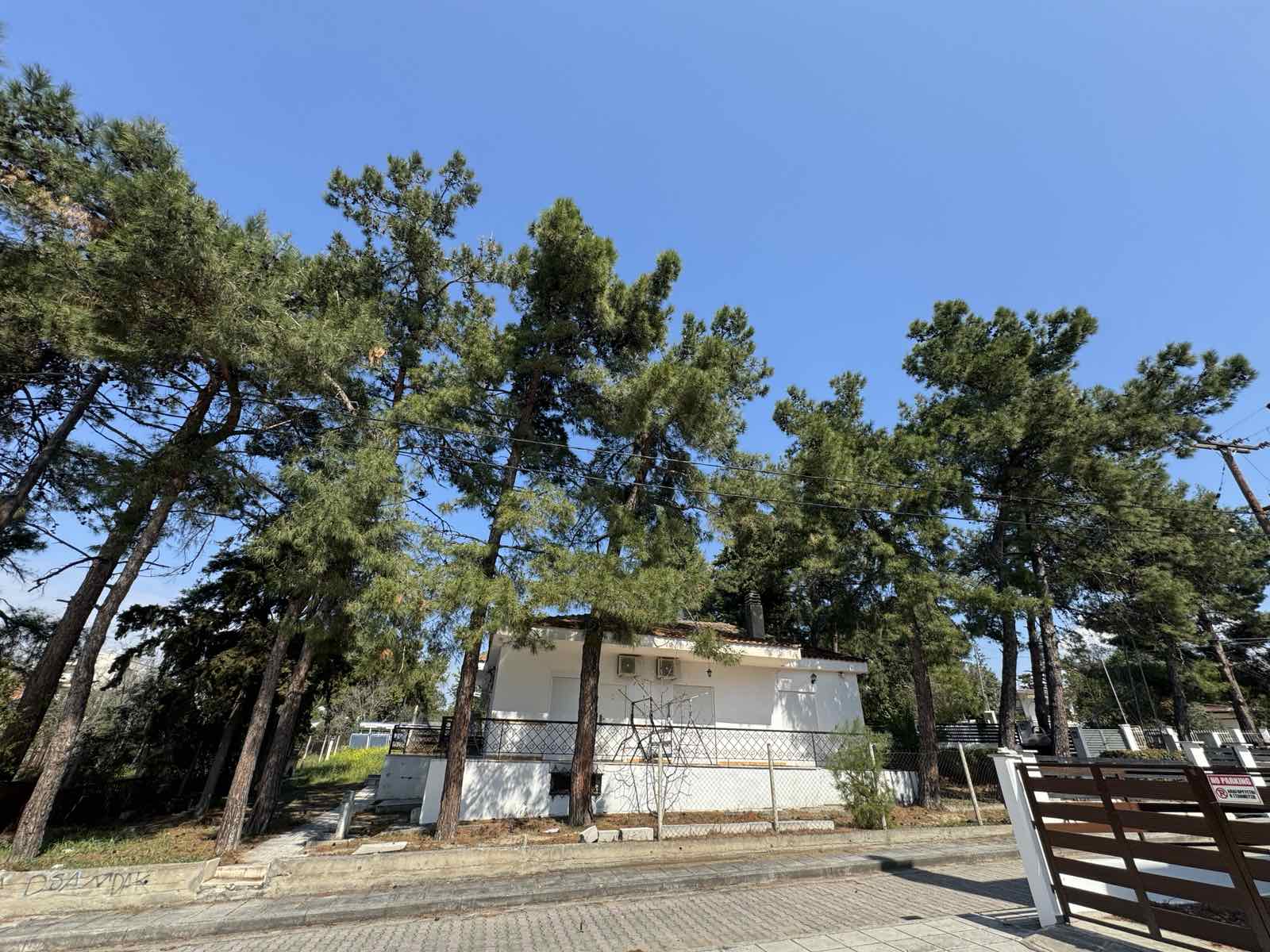 STUDIJI BOROVI thumbnail 25