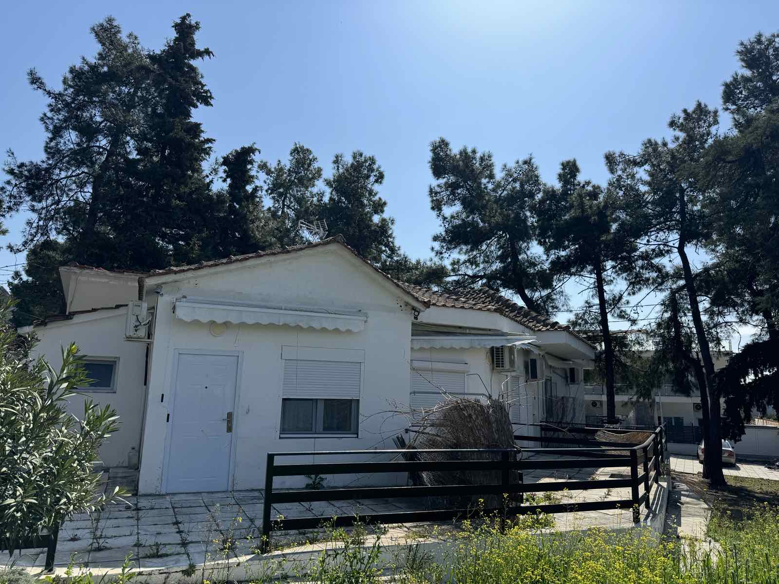 STUDIJI BOROVI thumbnail 26