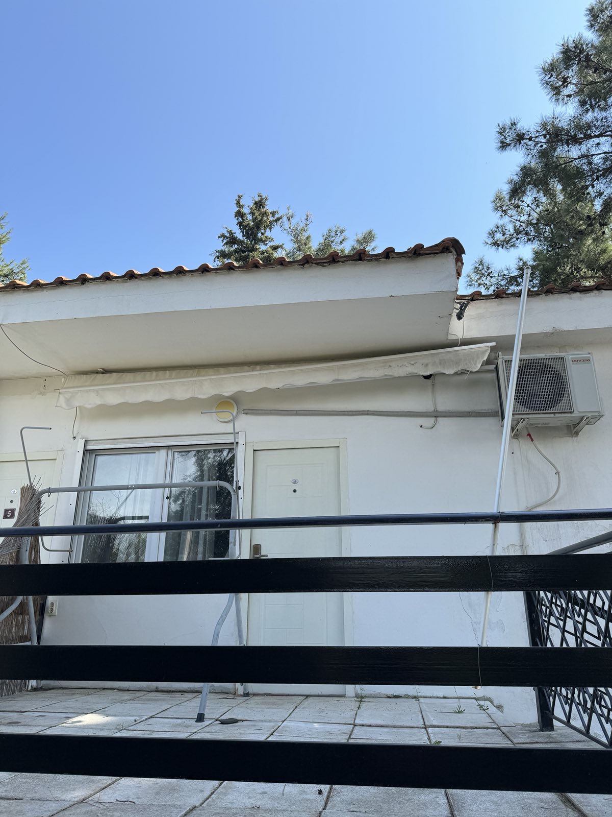 STUDIJI BOROVI thumbnail 27