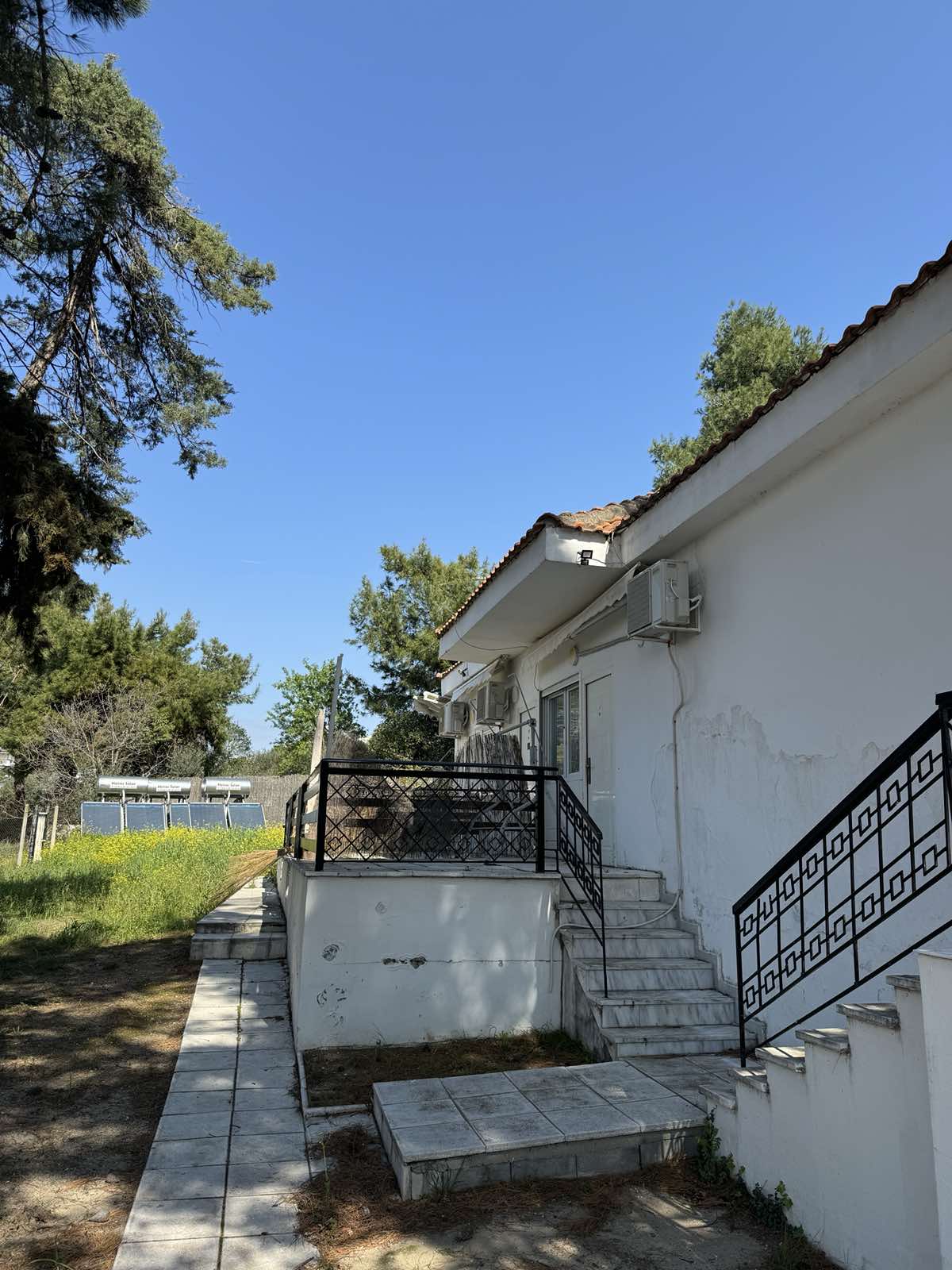 STUDIJI BOROVI thumbnail 28