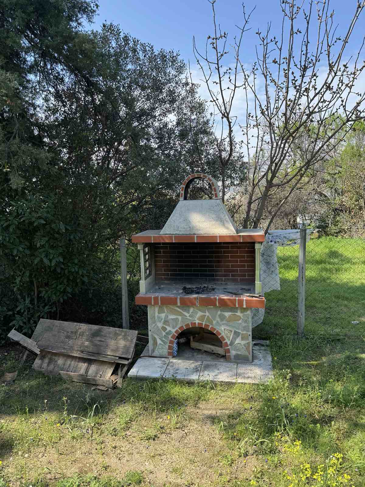 STUDIJI BOROVI thumbnail 29