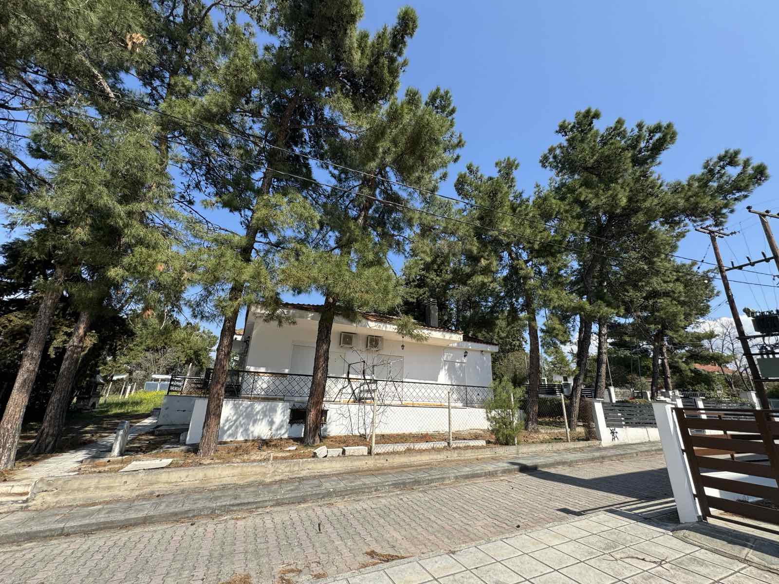 STUDIJI BOROVI thumbnail 30