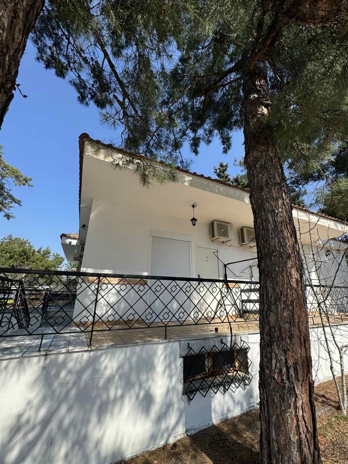 STUDIJI BOROVI thumbnail 31