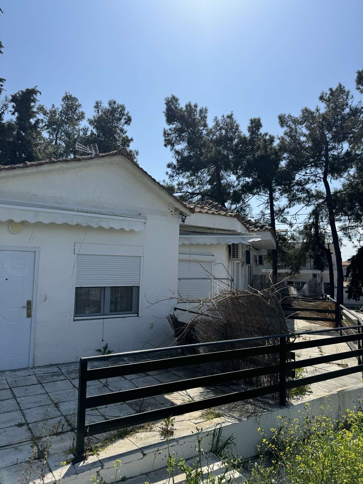 STUDIJI BOROVI thumbnail 32