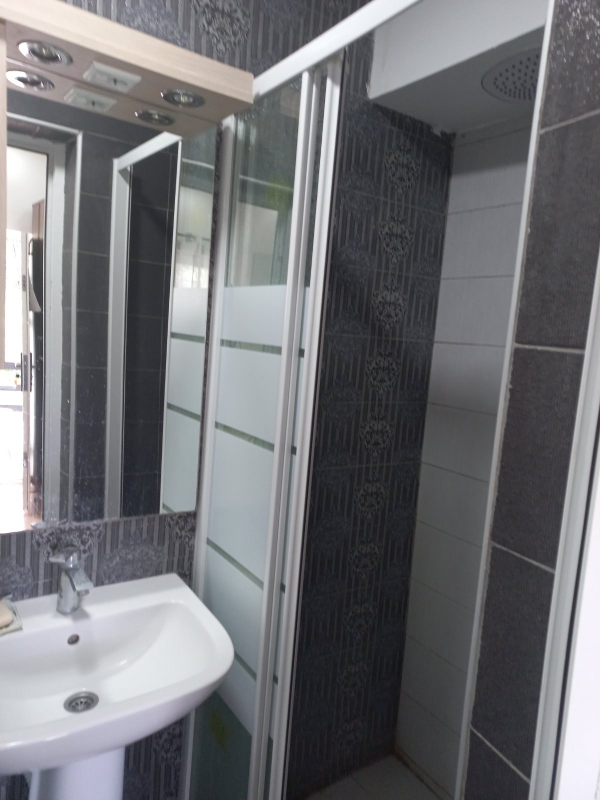 STUDIJI BOROVI thumbnail 8