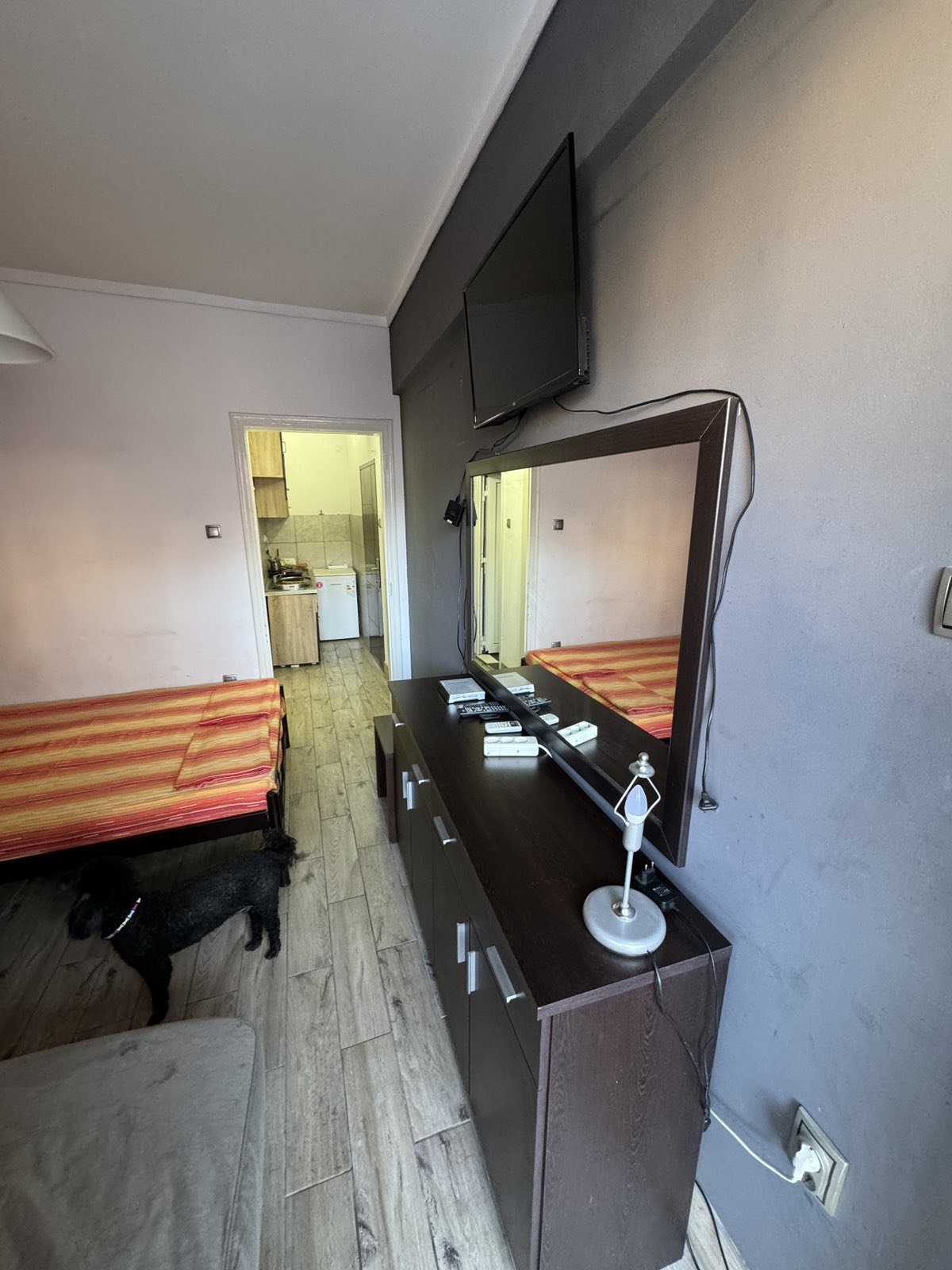 STUDIO DEA thumbnail 12