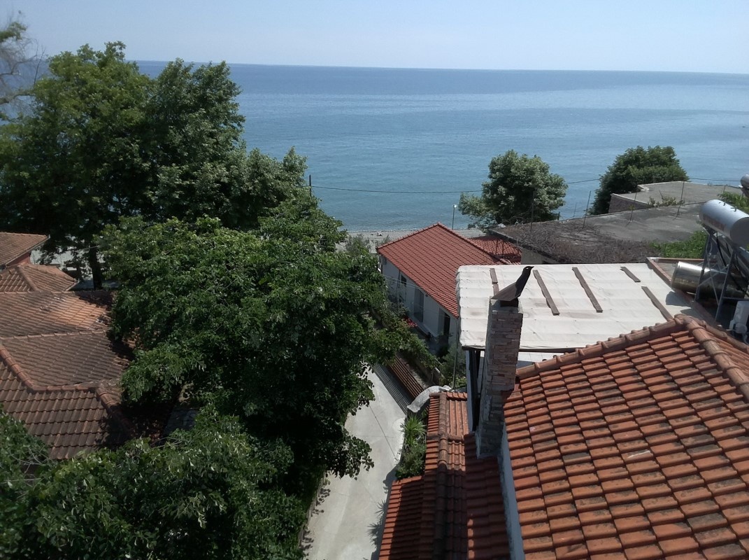 Vila Aktis thumbnail 7