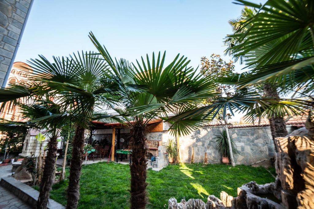 Vila Alexandra studios thumbnail 2