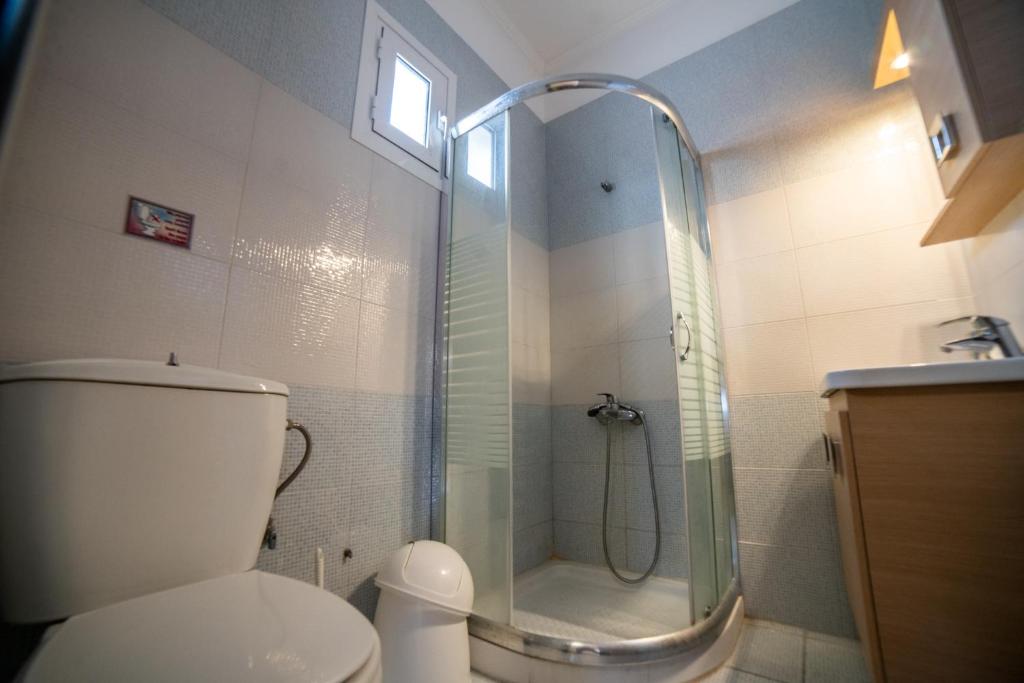 Vila Alexandra studios thumbnail 25