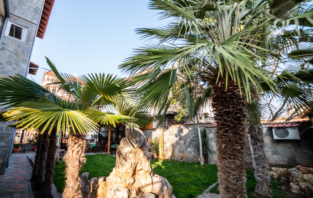 Vila Alexandra studios thumbnail 3