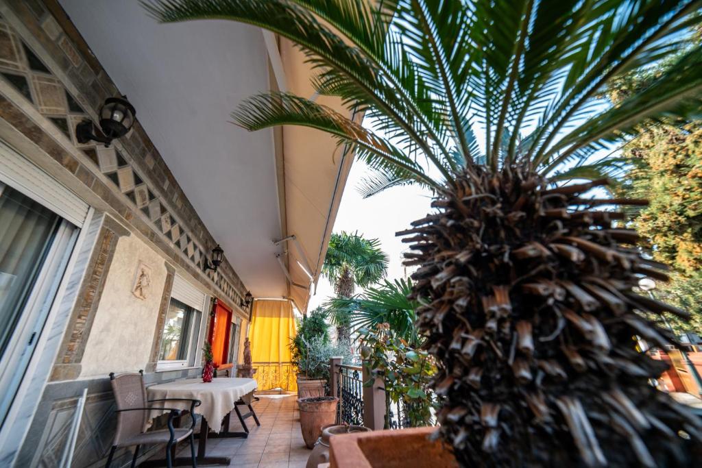 Vila Alexandra studios thumbnail 7