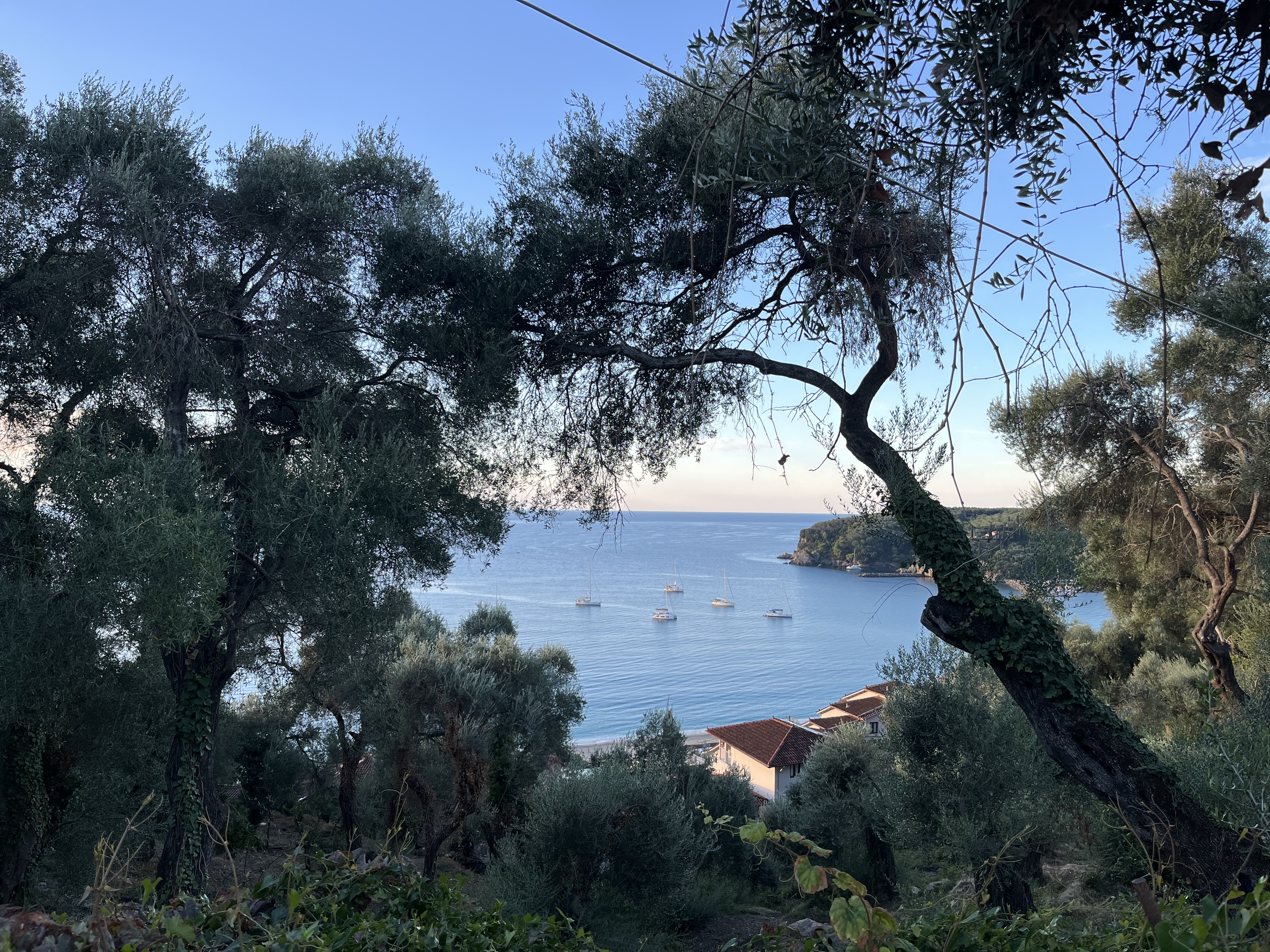 Vila Alexis thumbnail 9