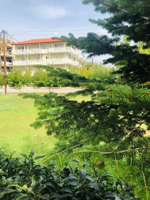 Vila Aneta - 4