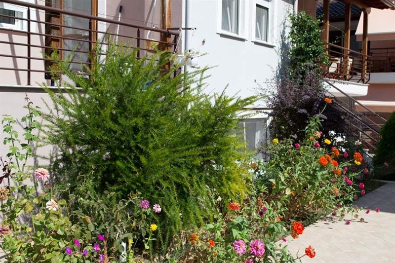 Vila Angeliki thumbnail 4