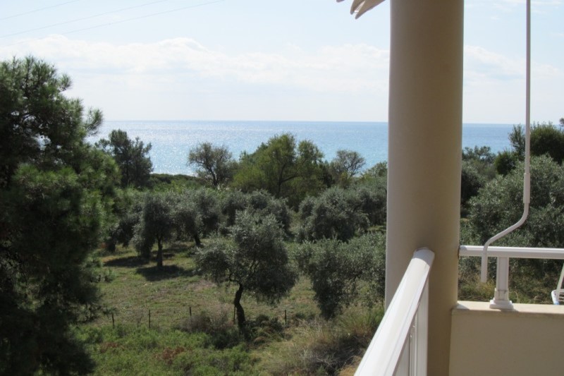 Vila Augustos (Tripiti) thumbnail 11