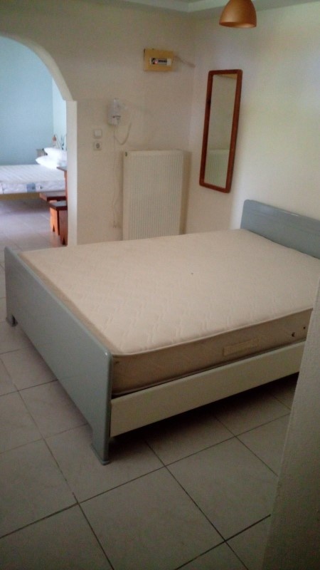 Vila Blue Fox thumbnail 46