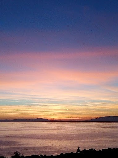 Vila Blue Fox thumbnail 55