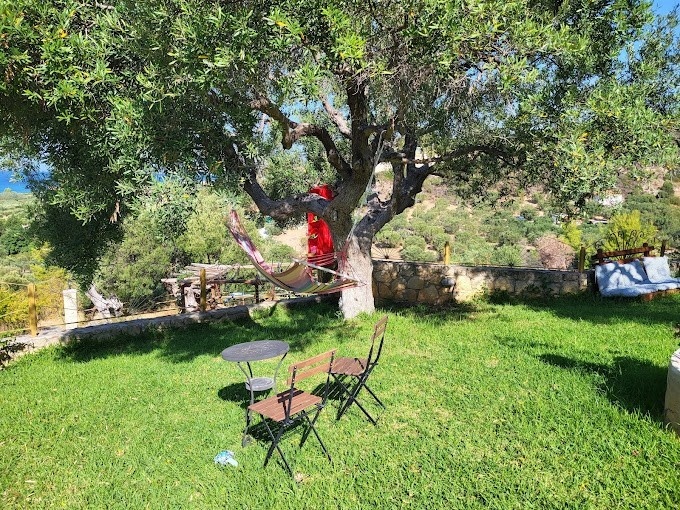 Vila Blue Fox thumbnail 7