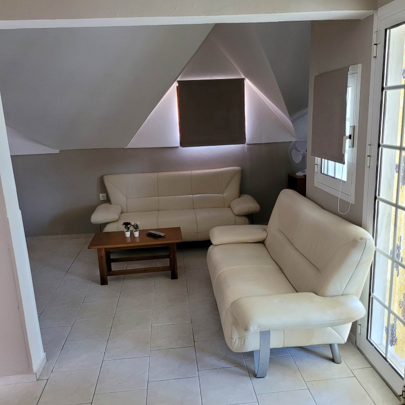 Vila Constantin thumbnail 21