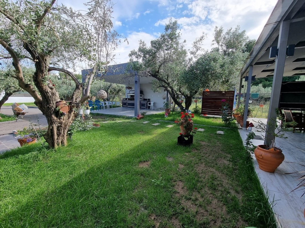 Vila Dafos Luxury thumbnail 9