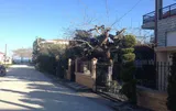 VILA ELEKTRA - 6
