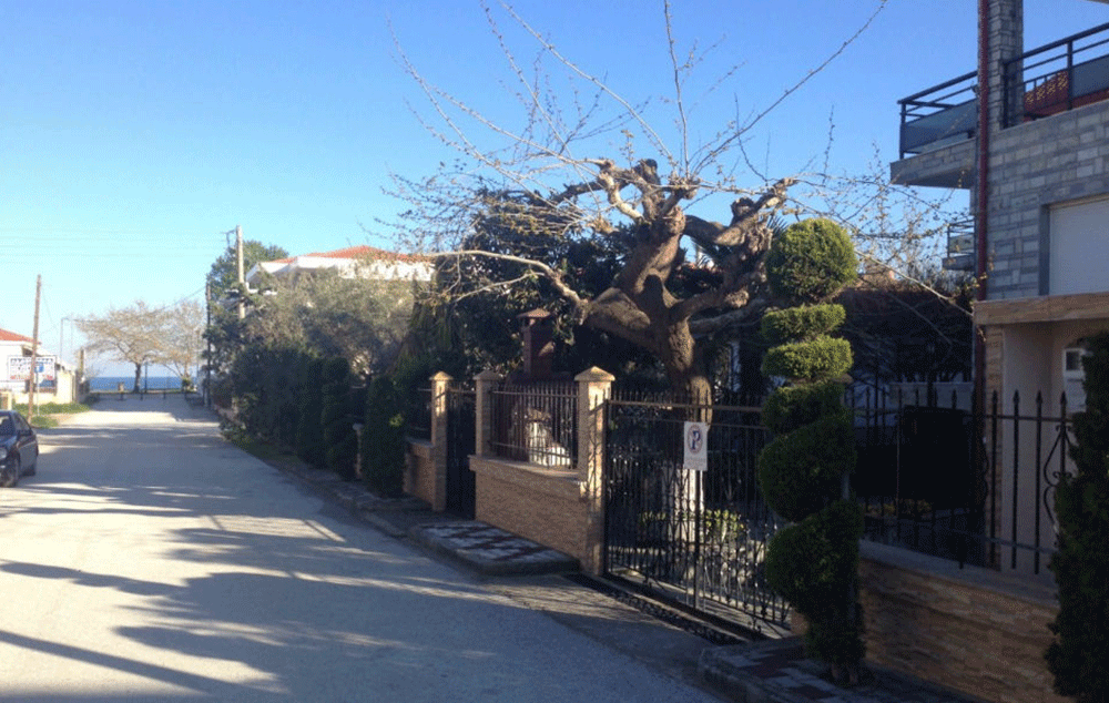 VILA ELEKTRA thumbnail 6