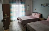 VILA ELVETOS MAKEDONIA - 4