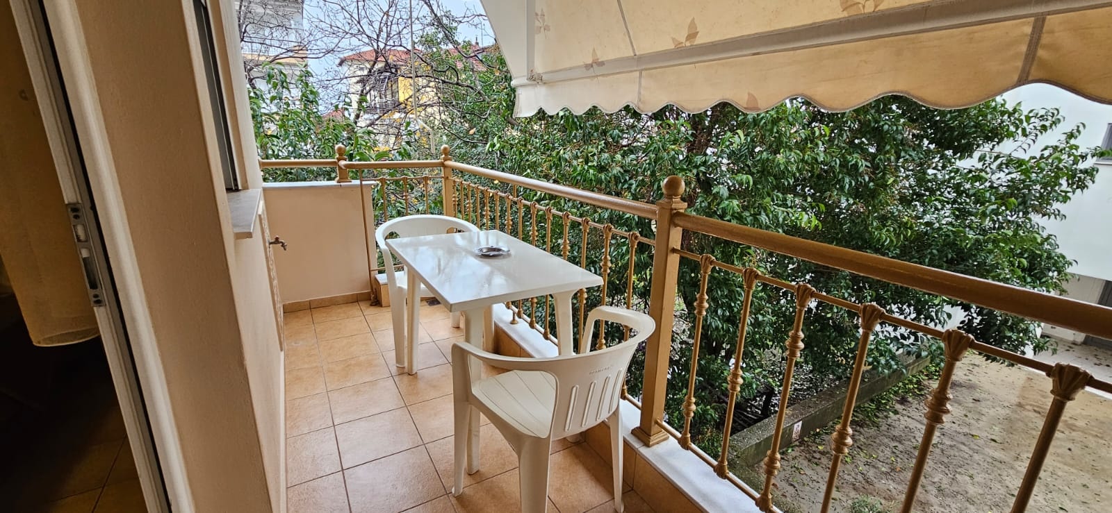 Vila Elvina thumbnail 14