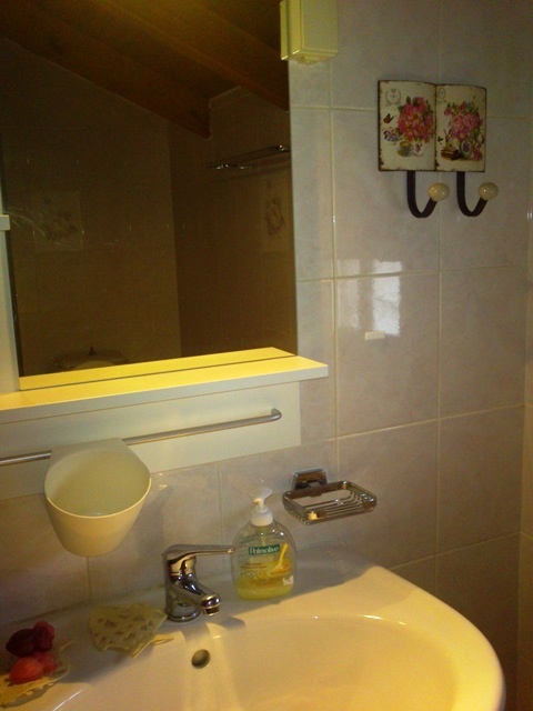 Vila Emily thumbnail 56