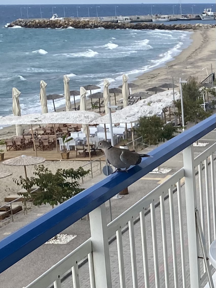 Vila Filareti Nea Kalikratia thumbnail 11