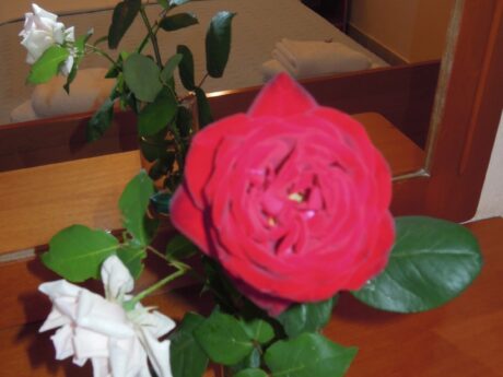 Vila Flesvos thumbnail 26