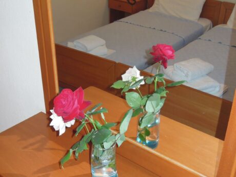 Vila Flesvos thumbnail 31