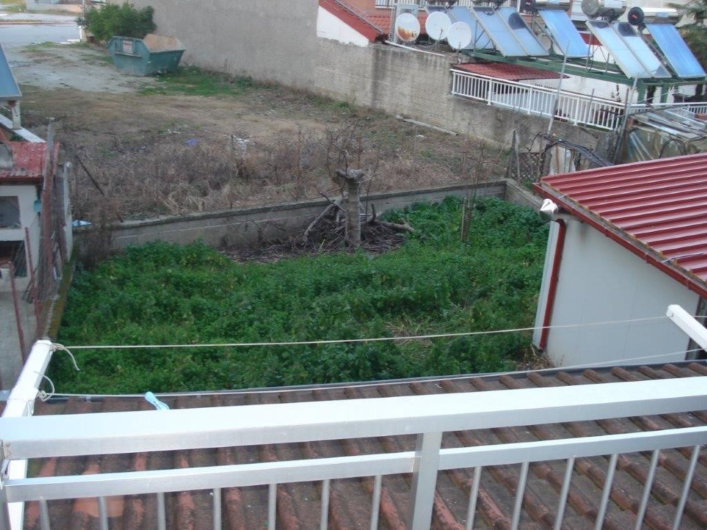 Vila Frideriki thumbnail 52