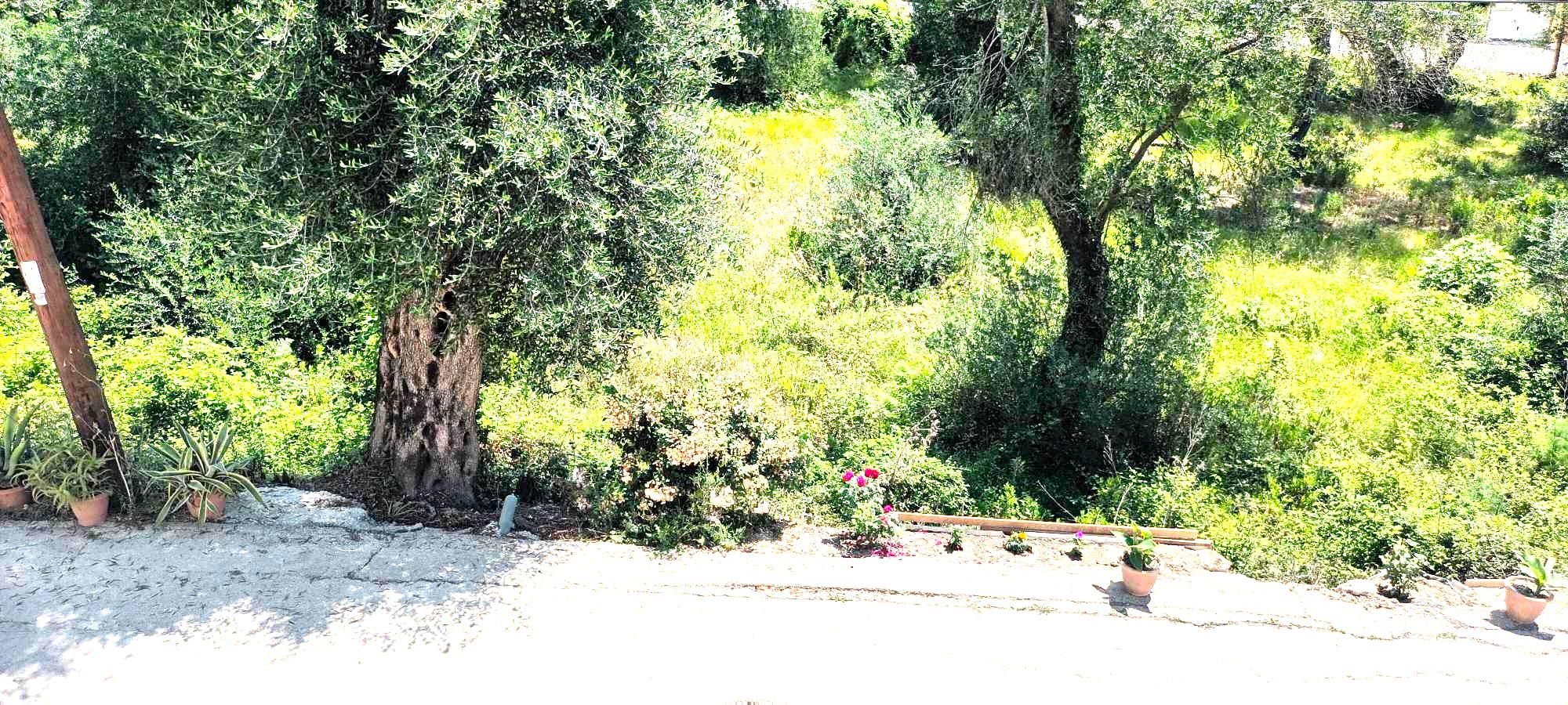 Vila Giohana thumbnail 35