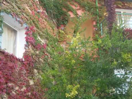 Vila Golden Beach thumbnail 13